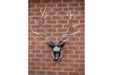 Large Stag Head