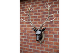 Large Stag Head