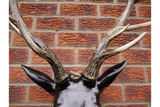 Large Stag Head