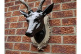 Large Stag Head