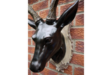 Large Stag Head