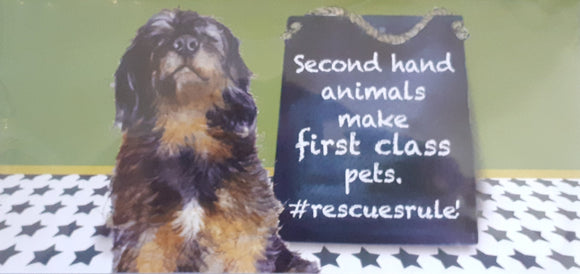 Little Dog Laughed - 'Second hand animals make first class pets ' card