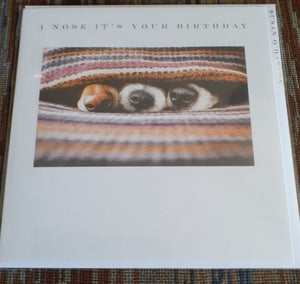 Susan O'Hanlon - 'I nose it's your birthday' card