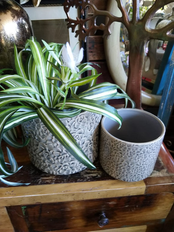 Soft Grey Pot Covers w/ Succulent Design