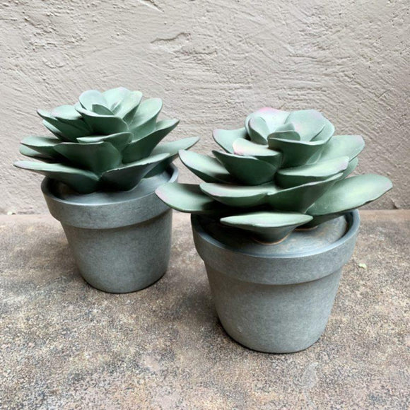 Faux Succulent Bookends